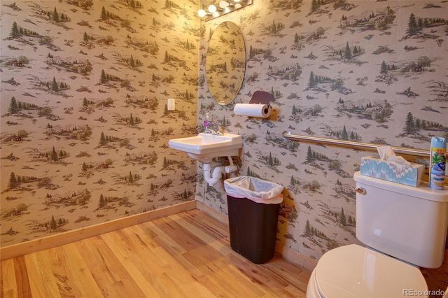 65 Sunshine Loop, Fairplay, CO 80440