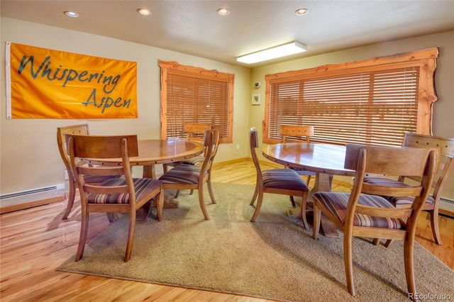 65 Sunshine Loop, Fairplay, CO 80440