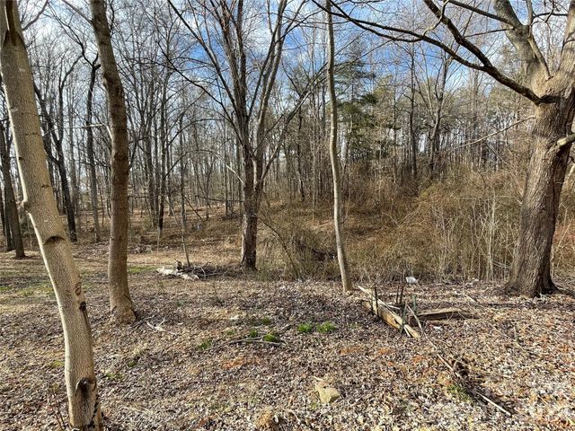 000 Max Metcalf Road, Swannanoa, NC 28778