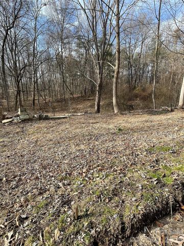 000 Max Metcalf Road, Swannanoa, NC 28778