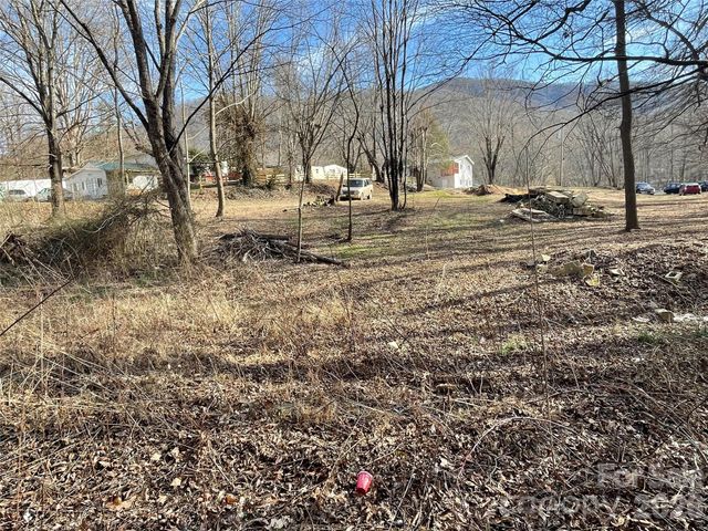 000 Max Metcalf Road, Swannanoa, NC 28778