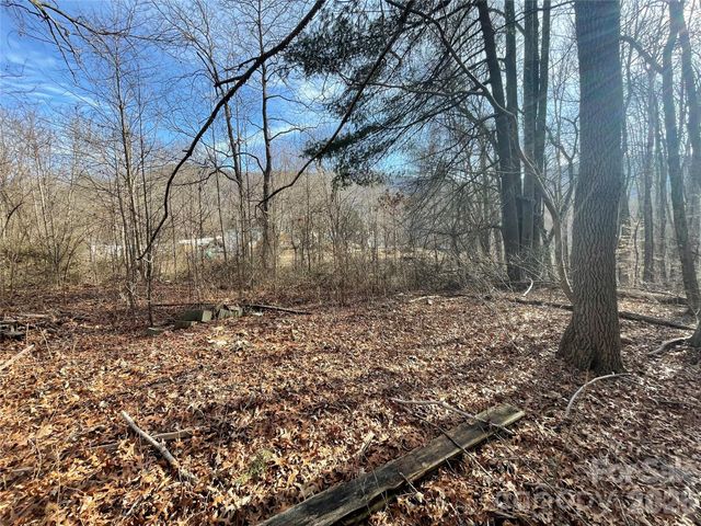 000 Max Metcalf Road, Swannanoa, NC 28778