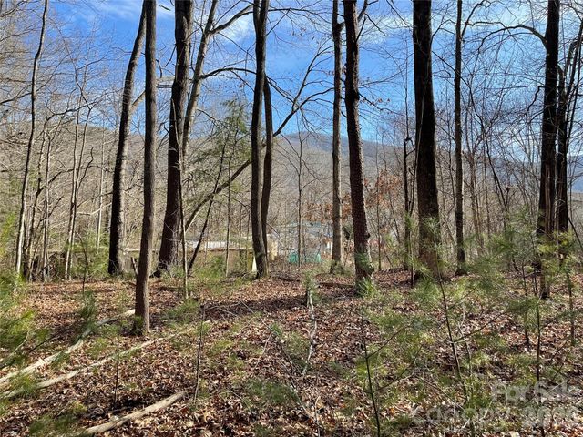 000 Max Metcalf Road, Swannanoa, NC 28778