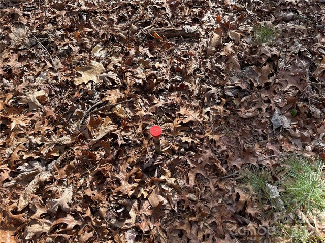 000 Max Metcalf Road, Swannanoa, NC 28778