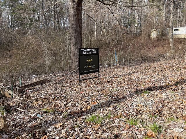 000 Max Metcalf Road, Swannanoa, NC 28778