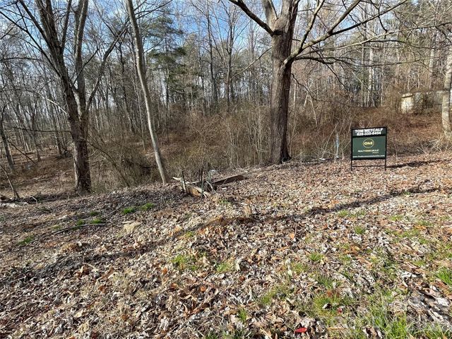 000 Max Metcalf Road, Swannanoa, NC 28778