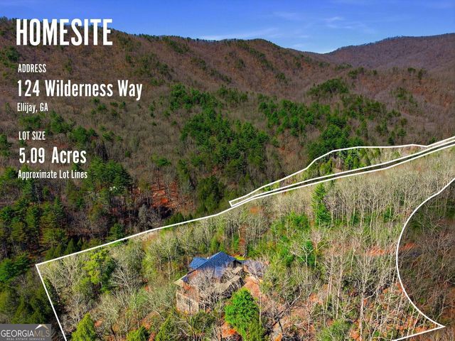 124 Wilderness Way, Ellijay, GA 30536