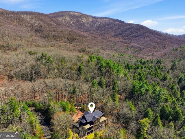 124 Wilderness Way, Ellijay, GA 30536