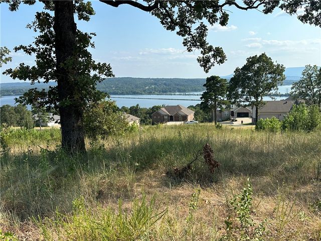 Lot 119 Castle Rock Drive, Russellville, AR 72802