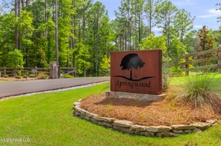 Springwood Trail, Flora, MS 39071