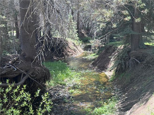 10 Beasore Road, Bass Lake, CA 93604