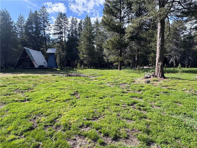 10 Beasore Road, Bass Lake, CA 93604