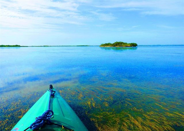 215 BRADBURY AVENUE, Oak Hill, FL 32759