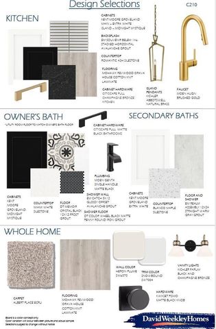 41742 Wendele Way, Todd Mission, TX 77316