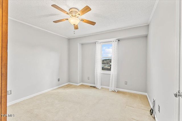 1109 Windsor Lane, Johnson City, TN 37601