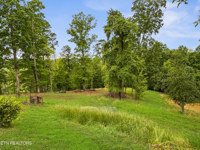 450 Buffalo Lane, Tazewell, TN 37879