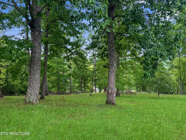 450 Buffalo Lane, Tazewell, TN 37879