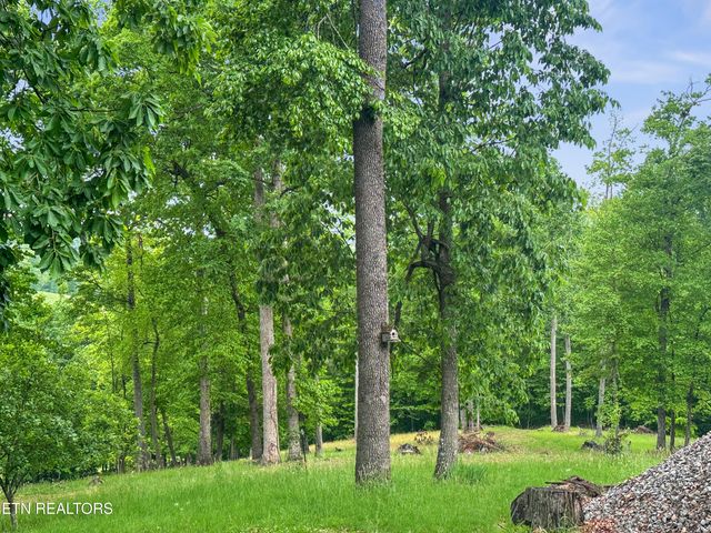 450 Buffalo Lane, Tazewell, TN 37879