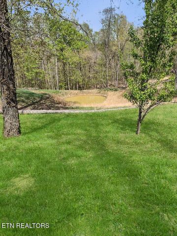 450 Buffalo Lane, Tazewell, TN 37879