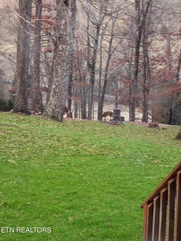 450 Buffalo Lane, Tazewell, TN 37879