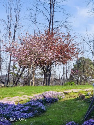 450 Buffalo Lane, Tazewell, TN 37879