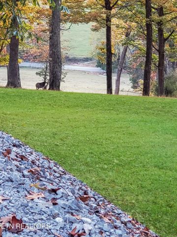 450 Buffalo Lane, Tazewell, TN 37879