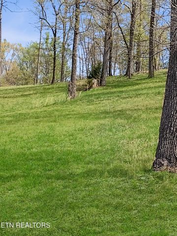 450 Buffalo Lane, Tazewell, TN 37879