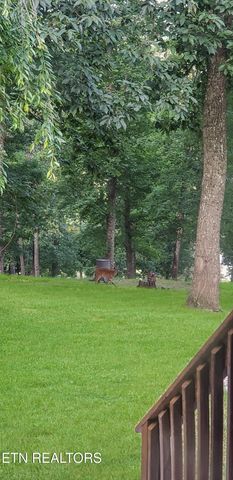 450 Buffalo Lane, Tazewell, TN 37879
