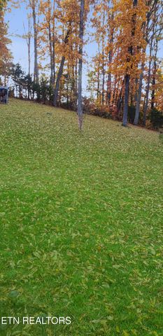 450 Buffalo Lane, Tazewell, TN 37879