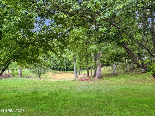 450 Buffalo Lane, Tazewell, TN 37879