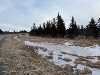 26220 Sterling Highway, Anchor Point, AK 99556