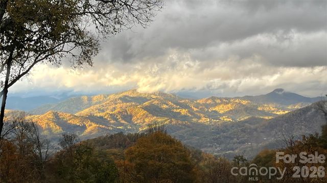 61 Ivy Ridge Road, Burnsville, NC 28714