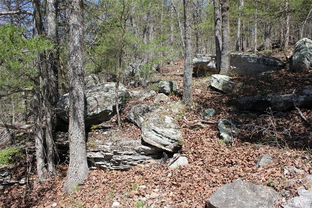 975-00026-001 Washington Street, Harrison, AR 72601