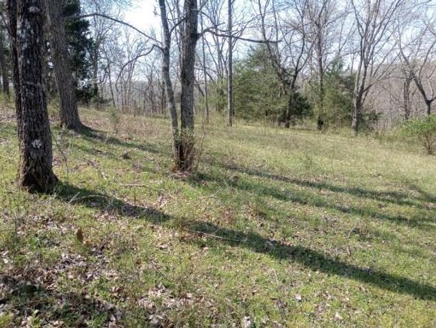 975-00026-001 Washington Street, Harrison, AR 72601