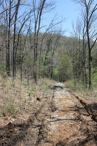 975-00026-001 Washington Street, Harrison, AR 72601