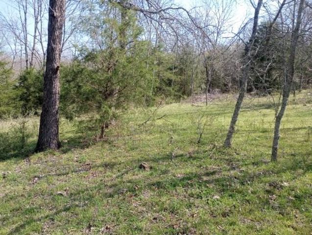 975-00026-001 Washington Street, Harrison, AR 72601