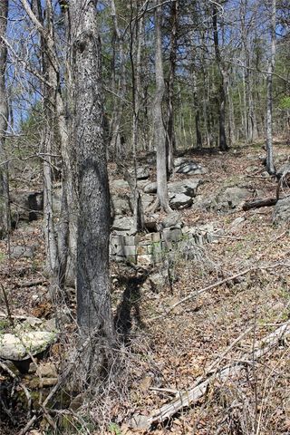 975-00026-001 Washington Street, Harrison, AR 72601