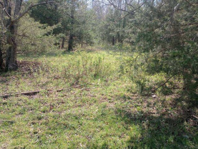 975-00026-001 Washington Street, Harrison, AR 72601