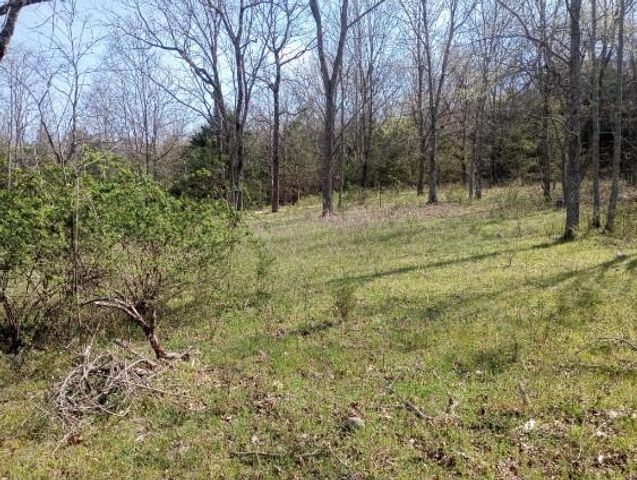 975-00026-001 Washington Street, Harrison, AR 72601