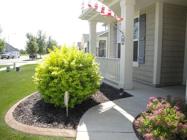 9101 Green Meadow Drive, Cedar Lake, IN 46303