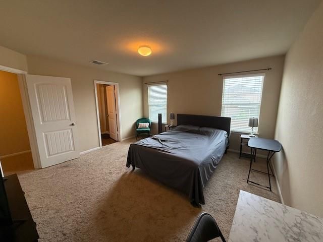 12115 Greywacke DR, Manor, TX 78653