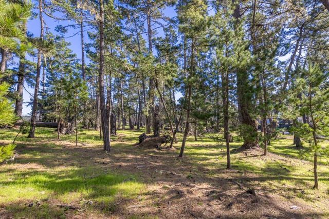 1407 Viscaino Road, Pebble Beach, CA 93953