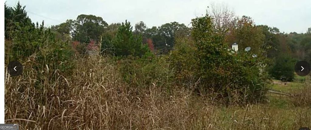 0 Dixie Red Avenue, Jefferson, GA 30549 — photo 4