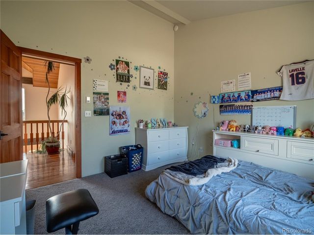 33515 Mt Harvard Cir, Buena Vista, CO 81211