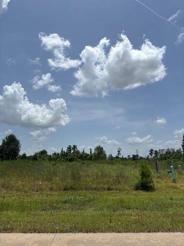 117 Road 5888, Cleveland, TX 77327