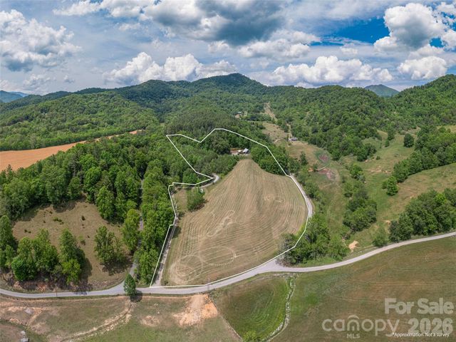 461 Ferguson Cove Loop, Clyde, NC 28721