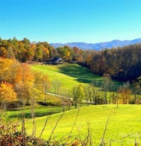 461 Ferguson Cove Loop, Clyde, NC 28721