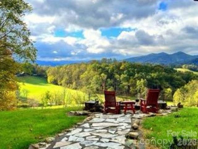 461 Ferguson Cove Loop, Clyde, NC 28721