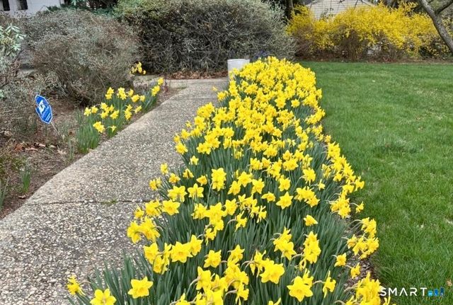 15 Very Merry Road, Stamford, CT 06903