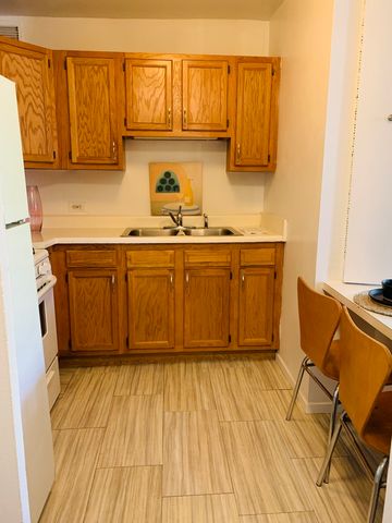 3021 S Michigan Avenue 304, Chicago, IL 60616